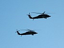 Die zwei "Black Hawks" in Formation. (Bild öffnet sich in einem neuen Fenster)