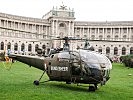 ...und setzt sicher am Platz vor der Hofburg auf. (Bild öffnet sich in einem neuen Fenster)