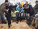 Die Militärhunde sind und bleiben ein Publikumsmagnet. (Bild öffnet sich in einem neuen Fenster)