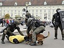 Die Vorführung der Soldaten der Militärpolizei kam gut an. (Bild öffnet sich in einem neuen Fenster)