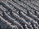 Die Soldatinnnen und Soldaten sind ausgerichet. (Bild öffnet sich in einem neuen Fenster)