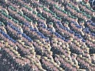 Über 1.000 Soldatinnen und Soldaten bei der Angelobung in Wien. (Bild öffnet sich in einem neuen Fenster)