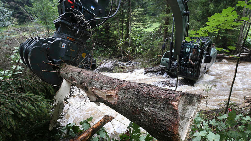 Umgestürzter Baum wird zerschnitten