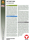Fact Sheet Iran 01/25 - 10.-20.09.2025